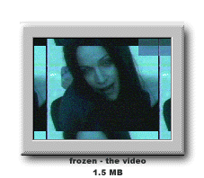 frzvidscr.gif (21660 bytes)