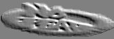 nfbg3.jpg (2677 bytes)